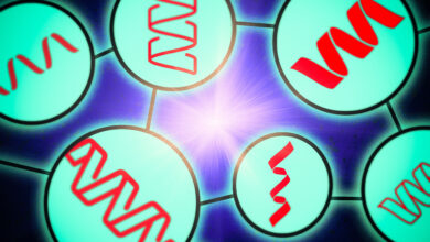 Researchers glimpse the inner workings of protein language models | MIT News