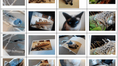 Baidu’s Artificial-Intelligence Supercomputer (Minwa) Beats Google at Image Recognition