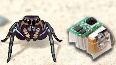Muscle-Inspired Robot Actuators Power Tiny Crawlers