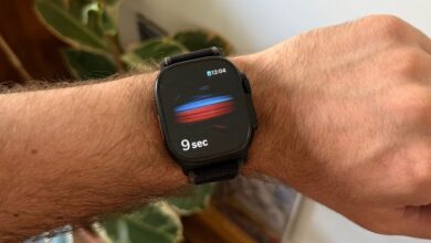 Masimo Takes U.S. Customs To Court Over Restored Apple Watch Blood Oxygen