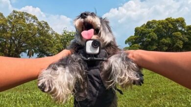 Insta360 Go Ultra Launches With Huge Sensor Upgrade For Sharper Video