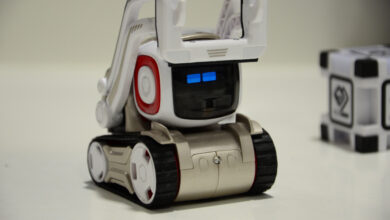 The story of two Companion Robots