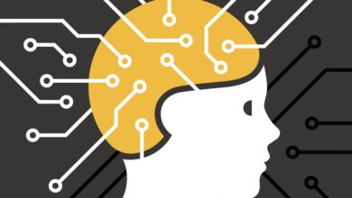 Fear Response Enhances Robot Risk Assessment